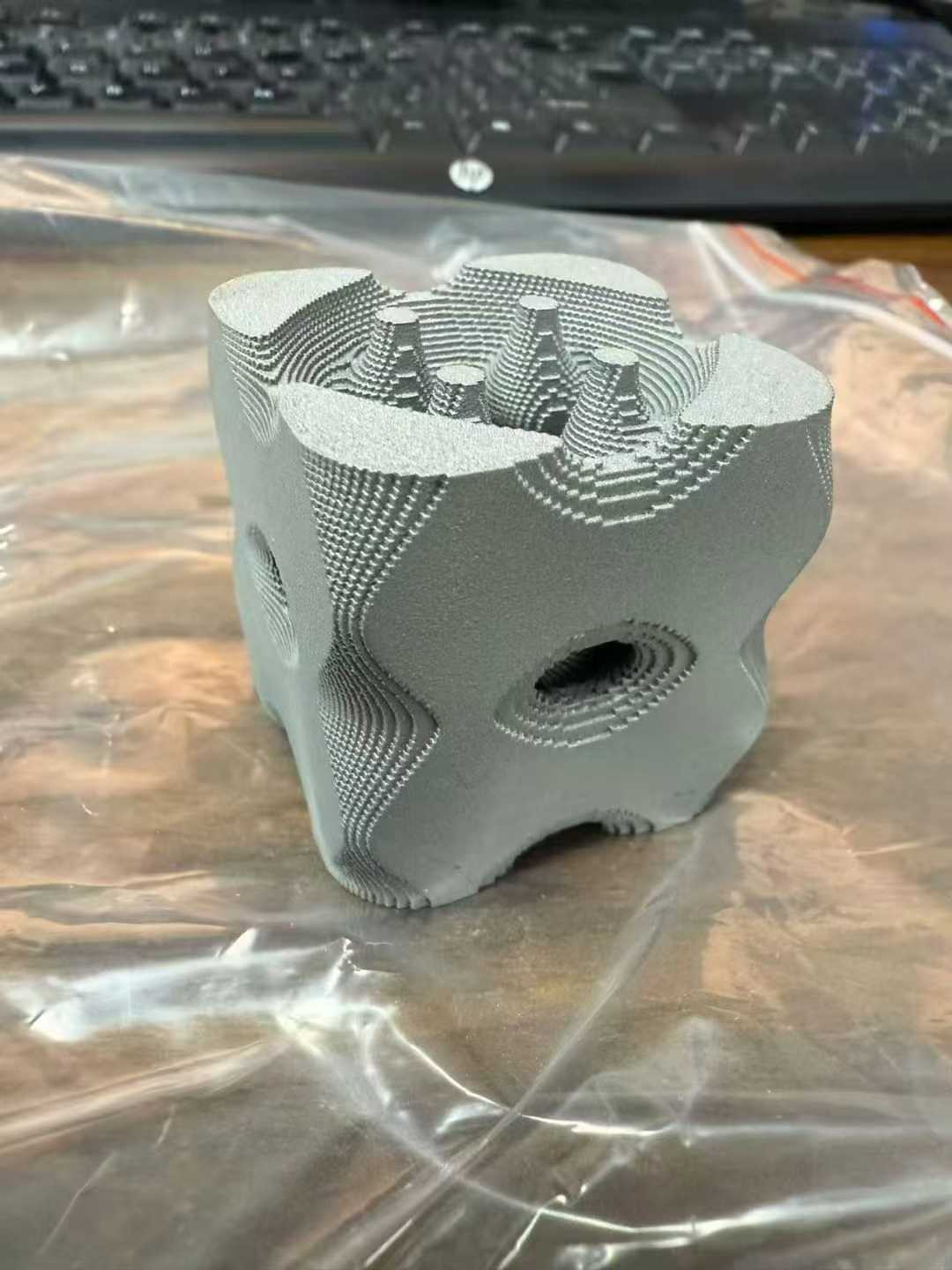 SLM Metal Raw Part